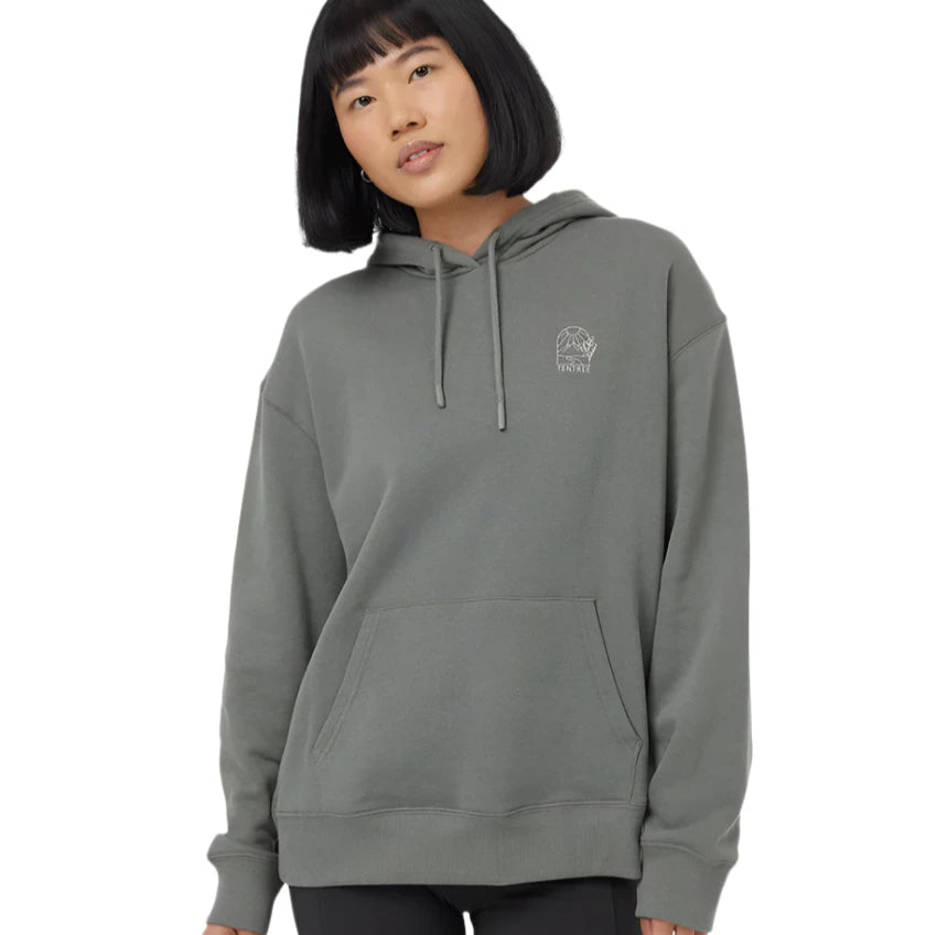 W Scenic Arch Hoodie (Mineral/Blue Fox) Hoodie with Oversized Fit Loose Comfortable